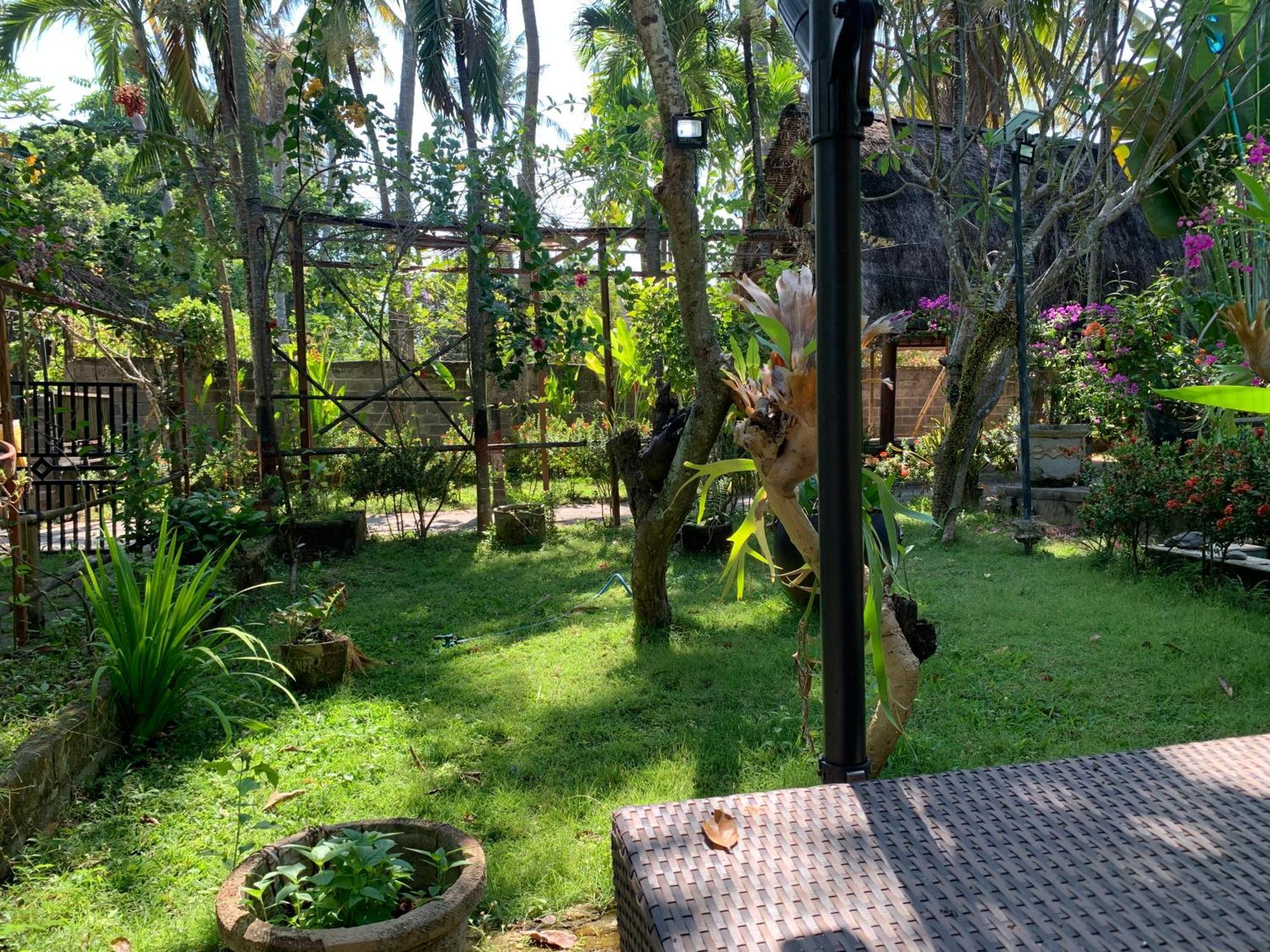 Studio Lumbung Lovina  Exterior photo